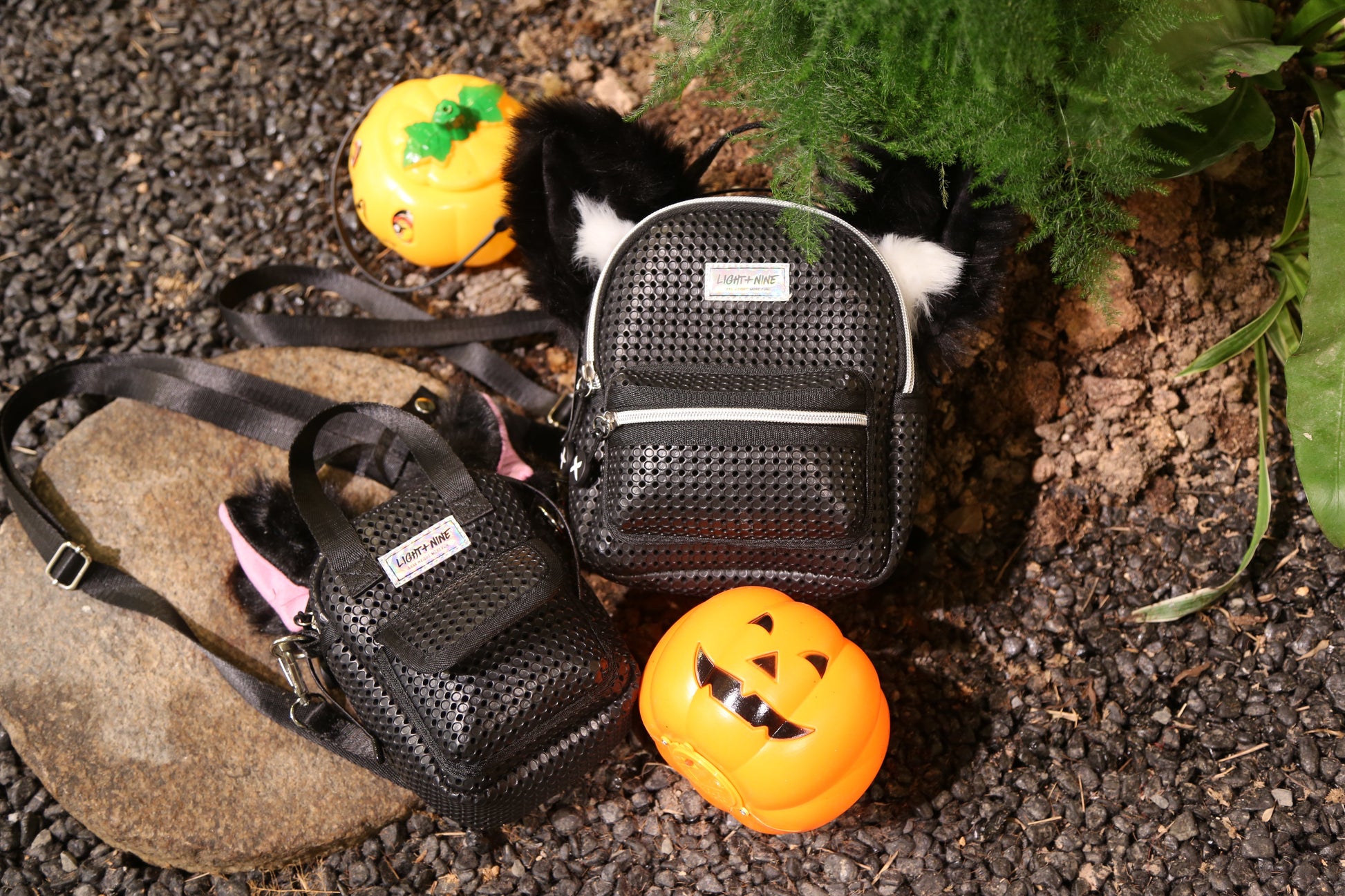 bcbg mini backpack Light+Nine Mini Backpack Black